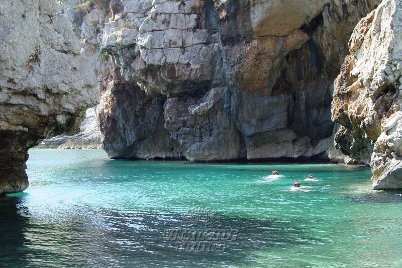 vis_stiniva_6.jpg - Ekorna