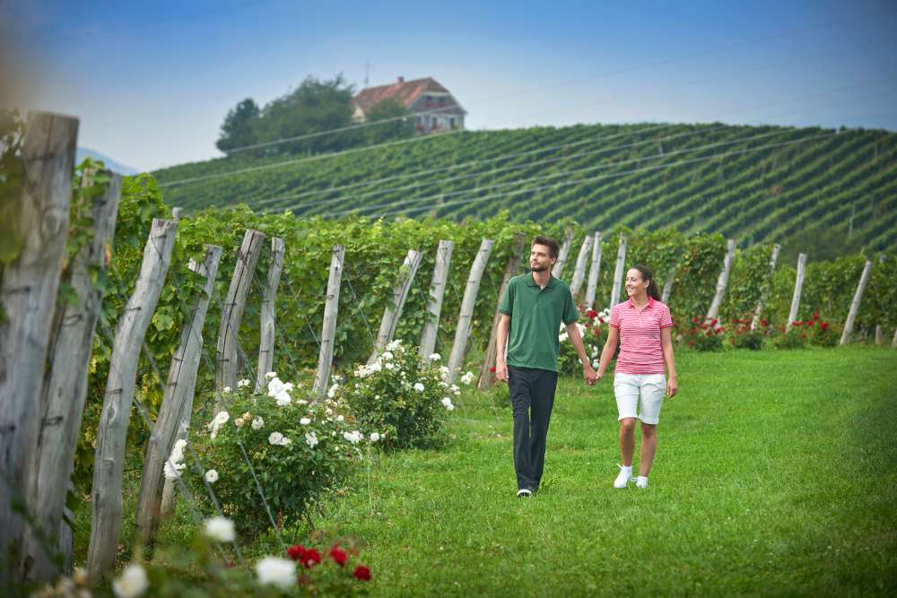 Zlati-Grič-Slovenske-konjice-Photo-www.slovenia.info-Tomo-Jeseničnik-1000-1.jpg Zlati-Grič-Slovenske-konjice-Photo-www.slovenia.info-Tomo-Jeseničnik-1000-1.jpg