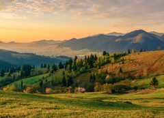 Bucovina
