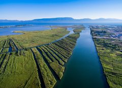Delta del río Neretva, Croacia