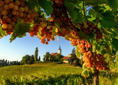 Jeruzalem, Eslovenia