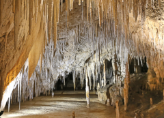 Cueva de Postojna