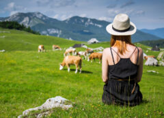 Velika Planina