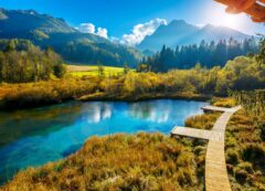 Zelenci
