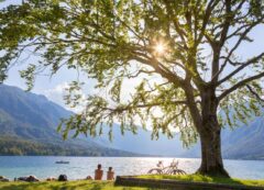 Bohinj