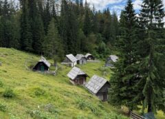 Pokljuka