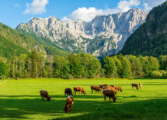 Alpes Julianos