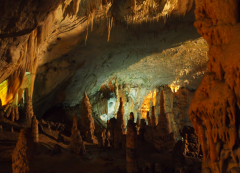 Cueva de Postojna