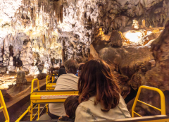 Tren dentro de la Cueva de Postojna