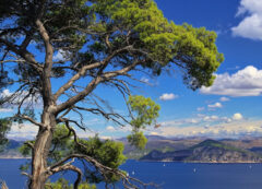 Islas Elafiti, Croacia