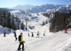Disfruta de la nieve en los Alpes Julianos.
