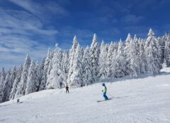 Disfruta del viaje en invierno perfecto en las pistas.